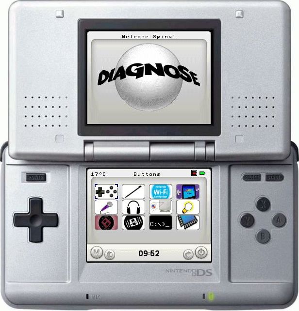 Nintendo DS Diagnose